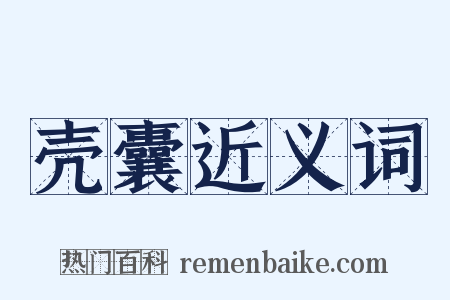 壳囊近义词是什么意思的图片